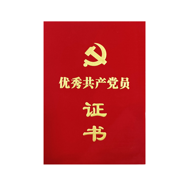 绒面凸字 优秀共产党员证书 S系列